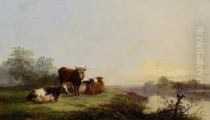 Cattle By The River Gipping