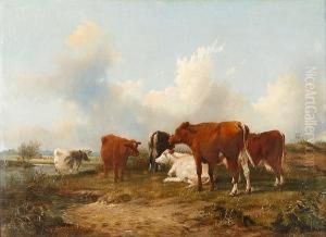 Cattle By A River