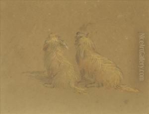 Twosketches Sheep