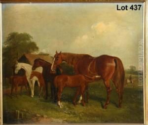 Study Of A Group Of Horses In A 
Field With Young Foalfeeding And Mounted Equestrian Figure Riding In The
 Background