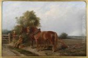Plough Horses Resting At The Edge Of The Field