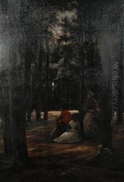 A Rest In The Forest - view 1