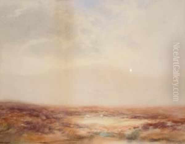 Sheep In Amoorland Landscape - view 1