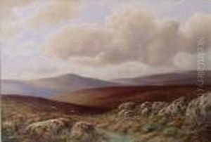 'dartmoor,nr. Princetown