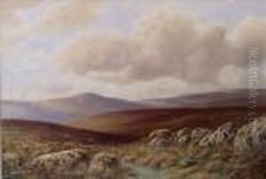 Dartmoor,nr. Princetown
