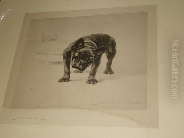 Bull Dog - view 1