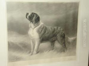 A St Bernard Dog In The Snow by Maud Earl