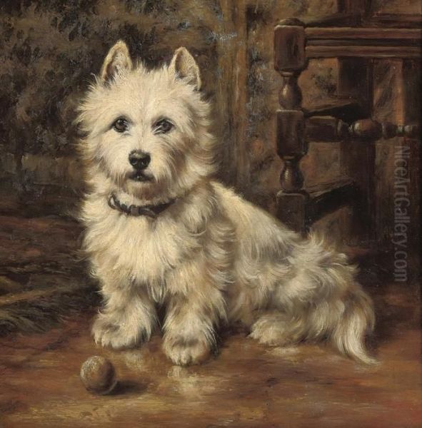 Waiting To Play, A Scottie With A Ball - view 1