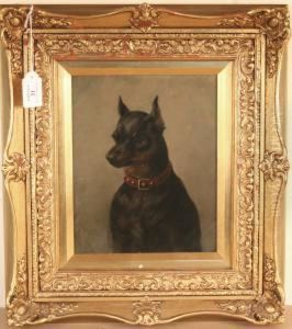 Study Of A Pinscher Wearing A Leather Collar With Metal Studs by Maud Earl
