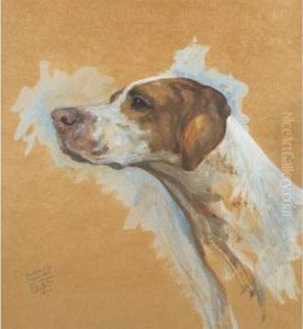 Head Study Of An American Pointer by Maud Earl