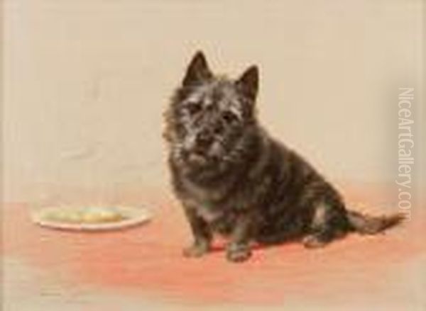 Suppertime; A Scottish Terrier - view 1