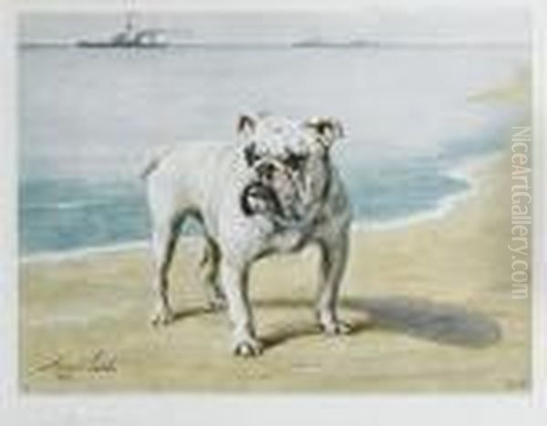 British Bulldog - view 1
