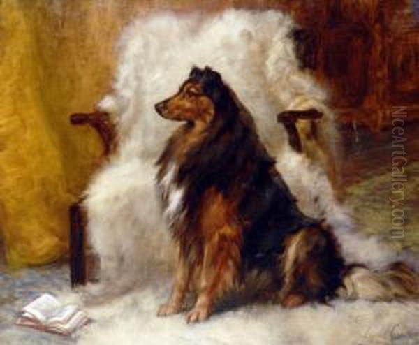 Champion Beauty, A Rough Collie On A Sheep Skin Rug - view 1