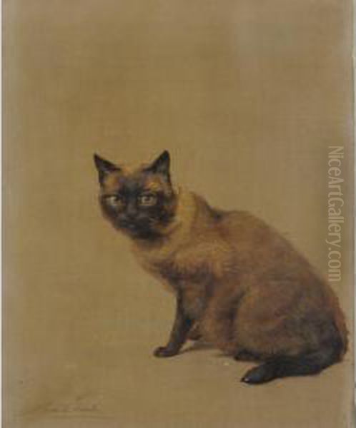 Siamese Cat - view 1