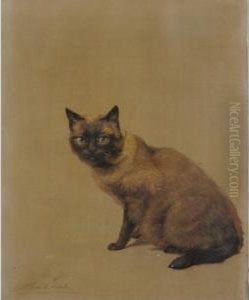 Siamese Cat by Maud Earl