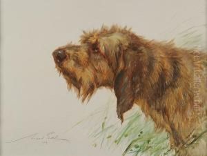 Otterhound Head Study by Maud Earl