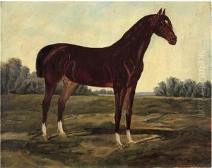 Cavallo Nel Paesaggio by Maud Earl