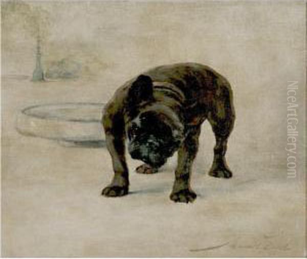 Champion Dinette, A French Bull Dog - view 1