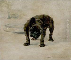Champion Dinette, A French Bull Dog by Maud Earl