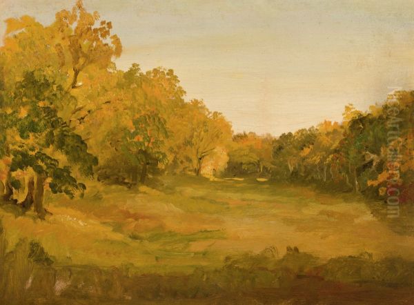 Landscape - view 1