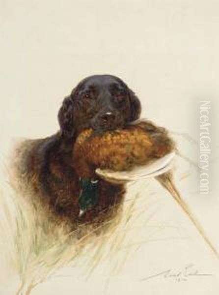 A Retriever - view 1