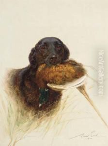 A Retriever by Maud Earl