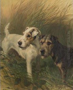 Two Sealyham Dogs by Maud Earl