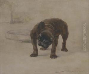 Champion Dinette, A French Bulldog by Maud Earl