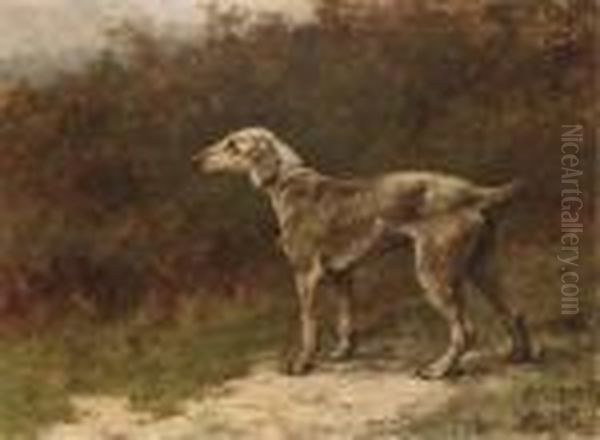 Clyde Boy, A Beddlington Terrier - view 1