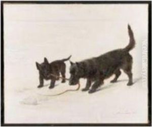 A Tug O'war