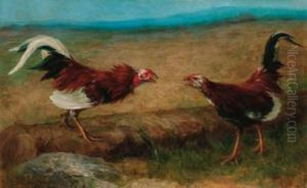 Cock Fighting - view 1