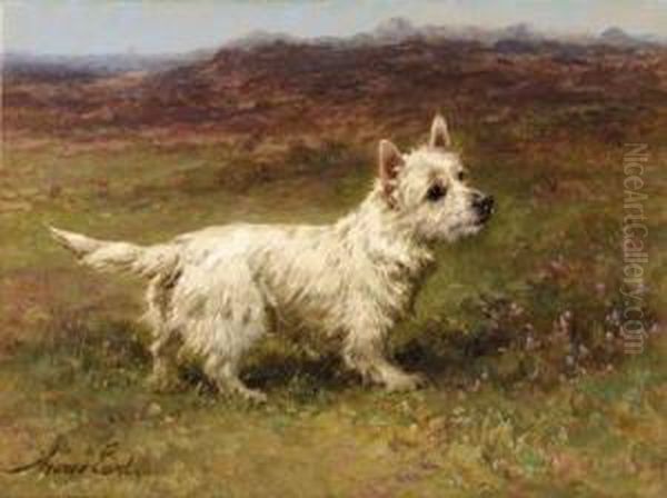 A Westhighland Terrier - view 1