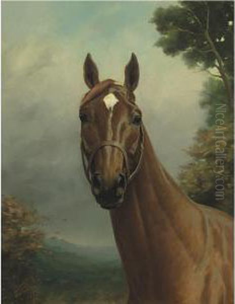 Man O' War - view 1