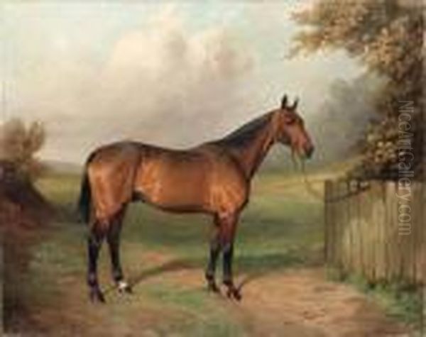 Jason, A Horse By A Gate - view 1