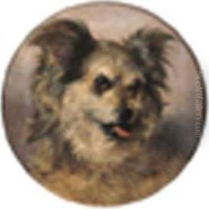 Head Study Of A Terrier