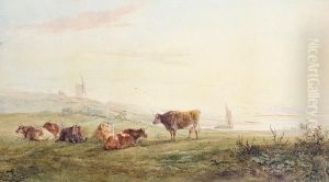 Cattle Resting