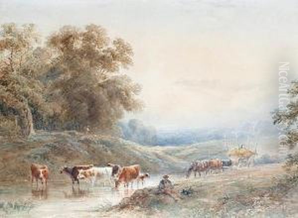 Cattle Watering In A Summer Landscape - view 1