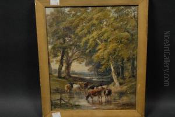 Cattle Watering - view 1
