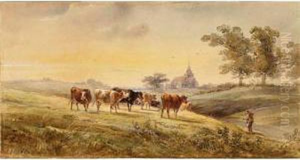 Cattle Watering By A Wooded Riverbank; Cattle Grazing With A Church Beyond - view 1