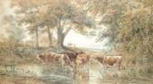 Cattle Watering In A Woodland Pool by Henry Earp