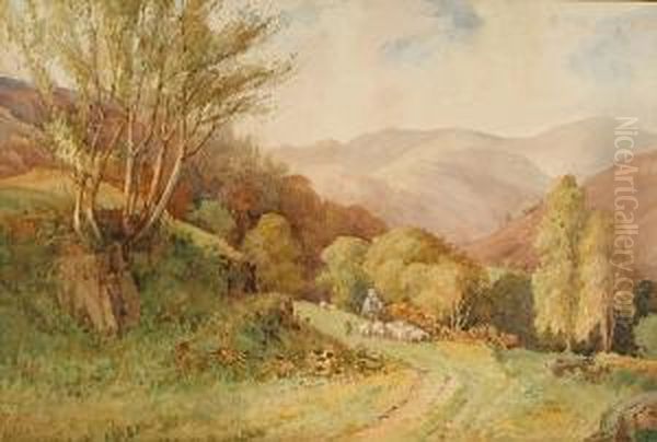 Herding Sheep - view 1