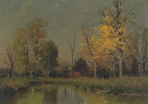 Autumn Trees By A Pond - view 1