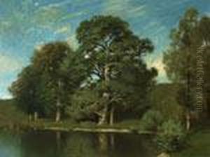 Summer Day Along A River