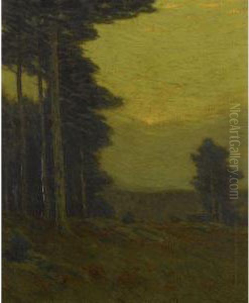 Edge Of The Woods - view 1