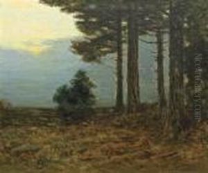 Sunset Pines