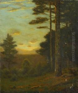 Among The Pine