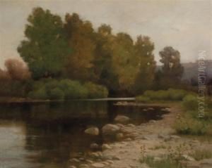 Pond In Late Summer