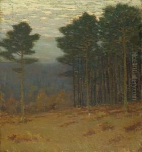 Tall Pines