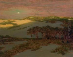 ''dunes At Sunset''