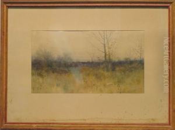 Trees, Winter - view 1